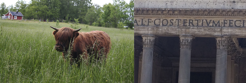 Från tjurskalle till alfabetets ledare