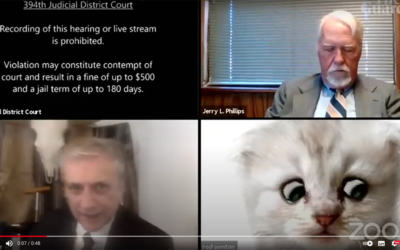 “I am not a cat” – bloopers och hur du undviker dem!